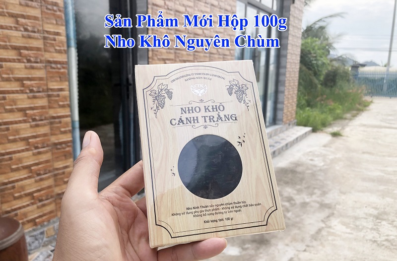 HỘP NHO KHÔ 100G